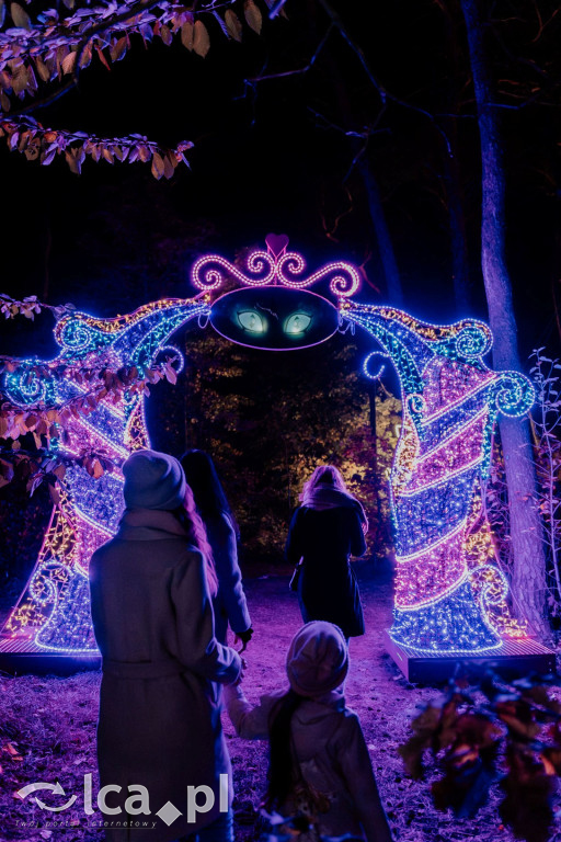 Magia Krainy Czarów czeka w Lumina Parku