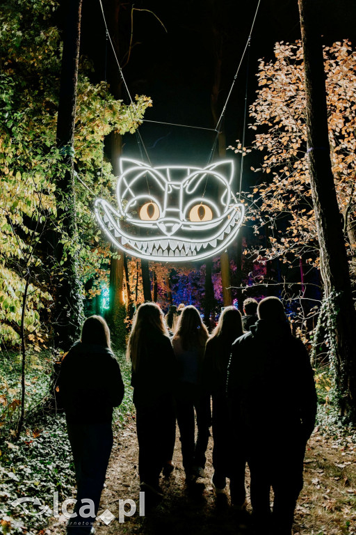 Magia Krainy Czarów czeka w Lumina Parku