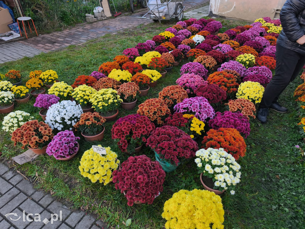 Przed legnickim cmentarzem komunalnym