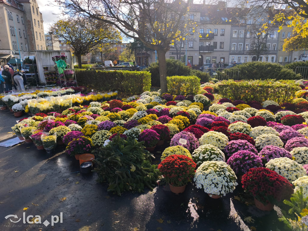 Przed legnickim cmentarzem komunalnym