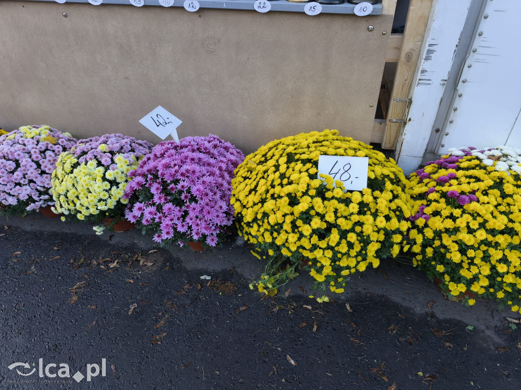 Przed legnickim cmentarzem komunalnym