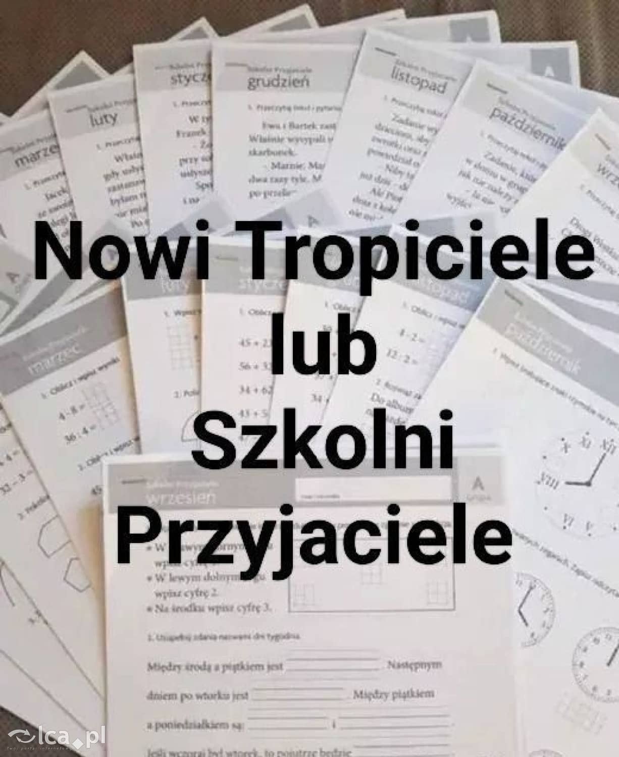 Zdjęcie