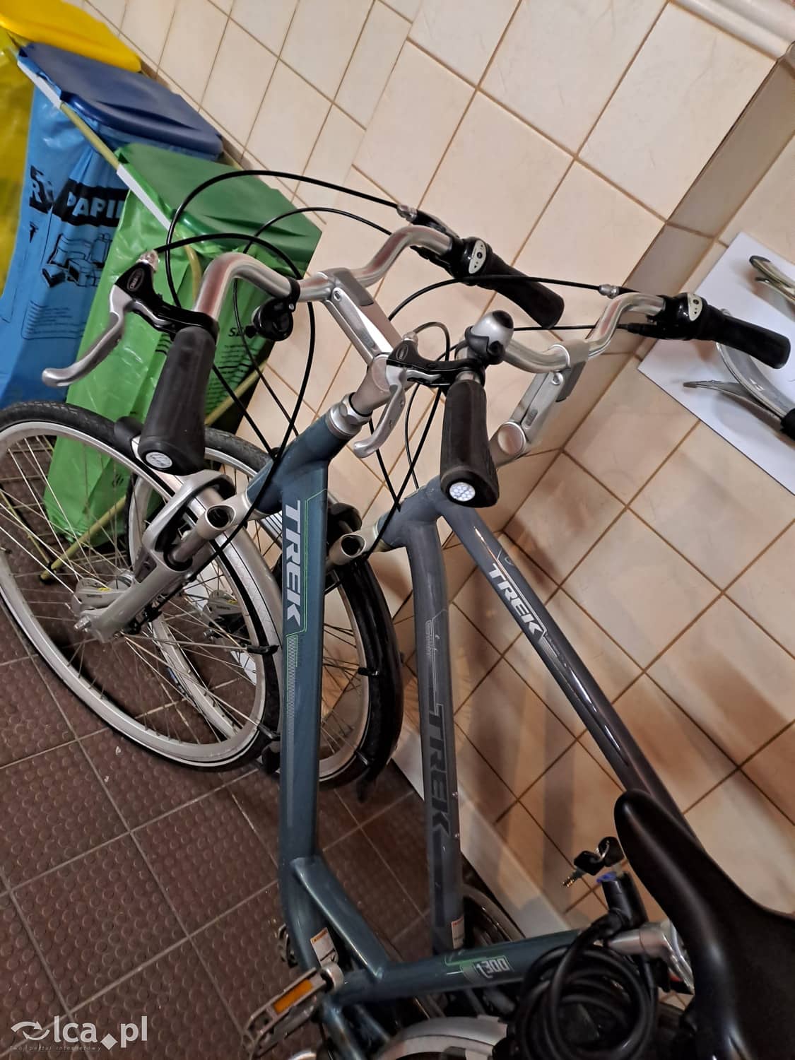 Zdjęcie