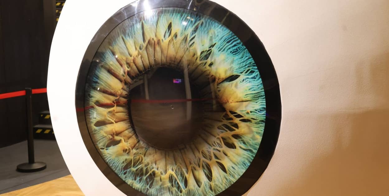 Centrum Witelona (Piotr Florek lca.pl)