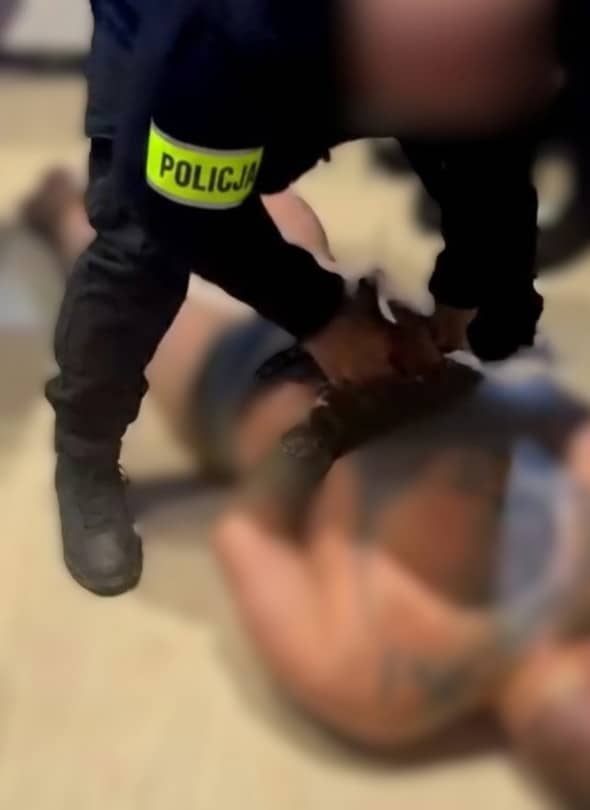 Banda złodziei rozbita. Są zatrzymania (źródło: KMP Legnica)