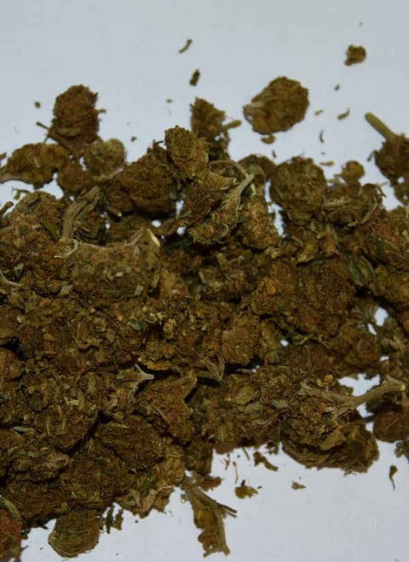 18 zatrzymanych za narkotyki w weekend (źródło: KMP Legnica)