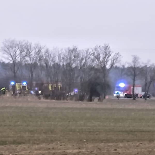 Dachowanie między Kawicami a Prochowicami (Wojciech Skulimowski lca.pl)