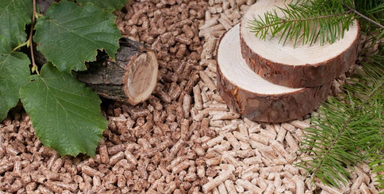 Izba Gospodarcza Urządzeń OZE i Polskiego Przemysłu