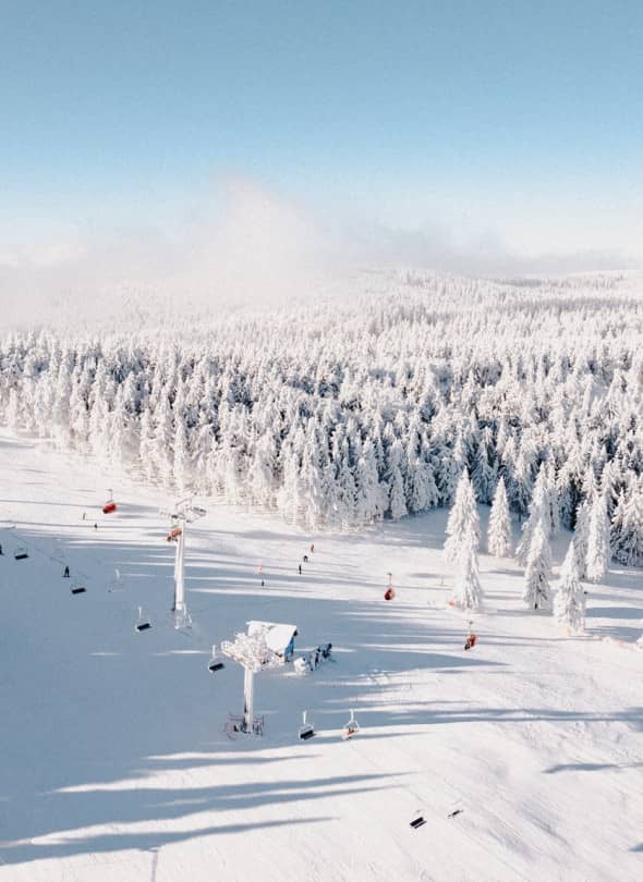 Zieleniec (fot. Zieleniec Sport Arena)