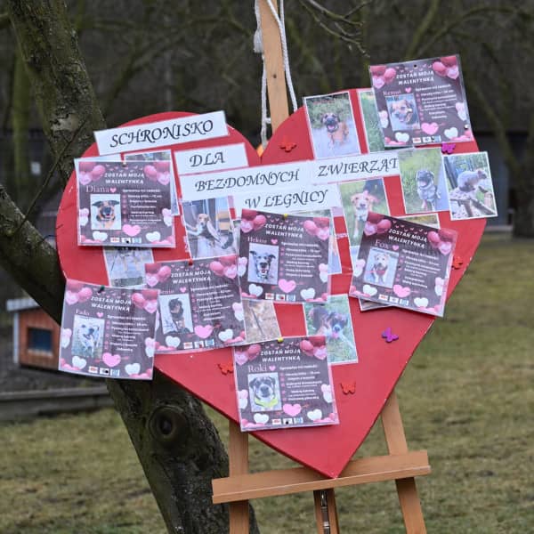 Piotr Florek (lca.pl)