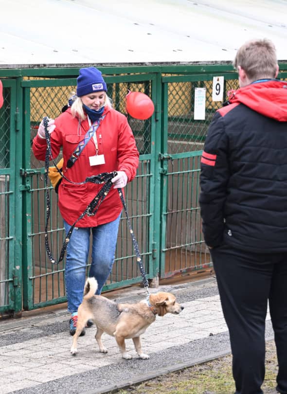Piotr Florek (lca.pl)