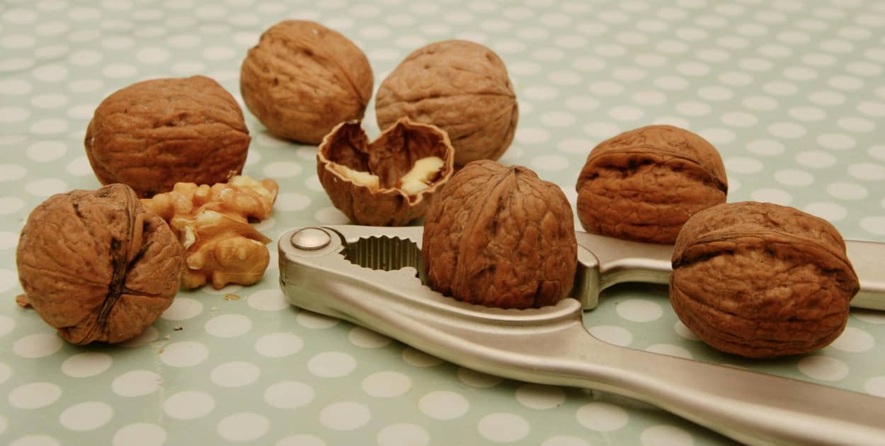 Obraz congerdesign z Pixabay