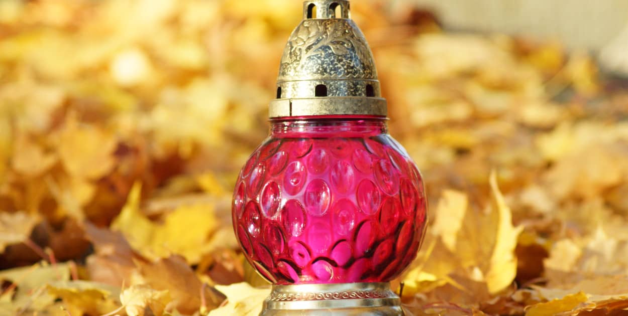 Natalia Seklecka | Dzień Dobry Włocławek