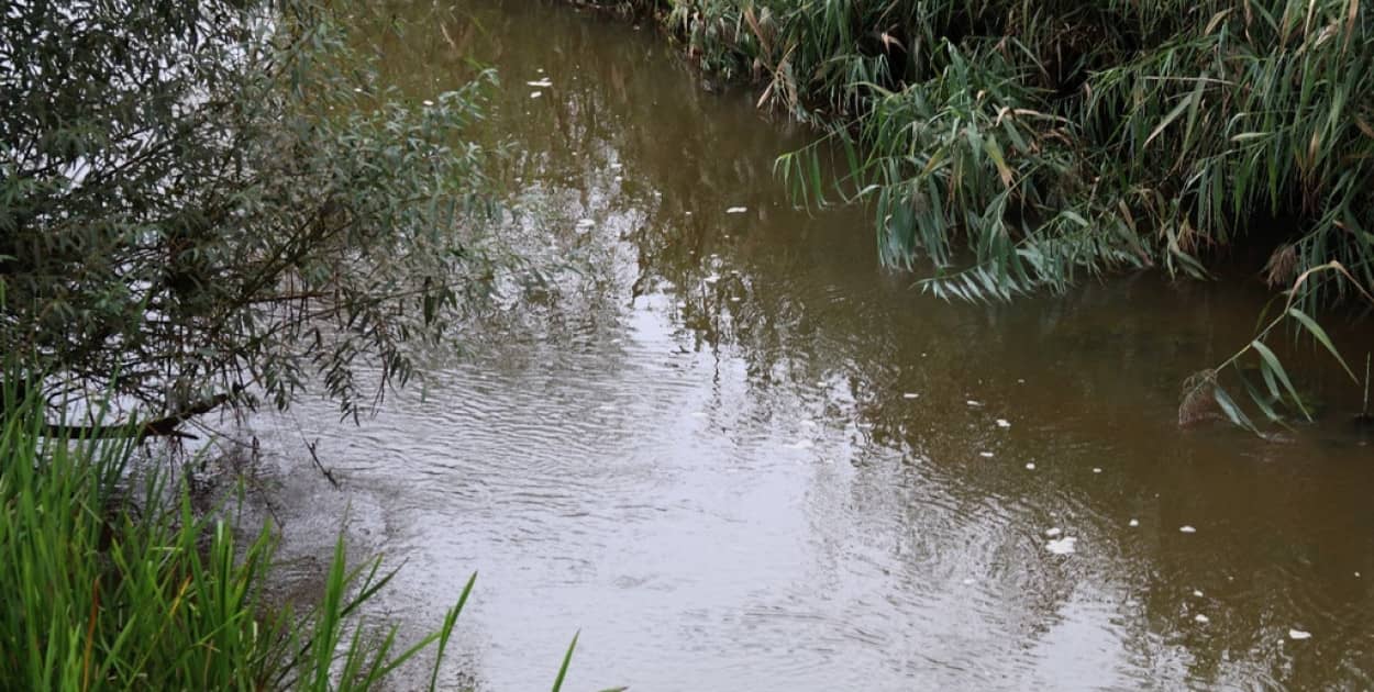 CzarnaWoda (Wojciech Obremski lca.pl)