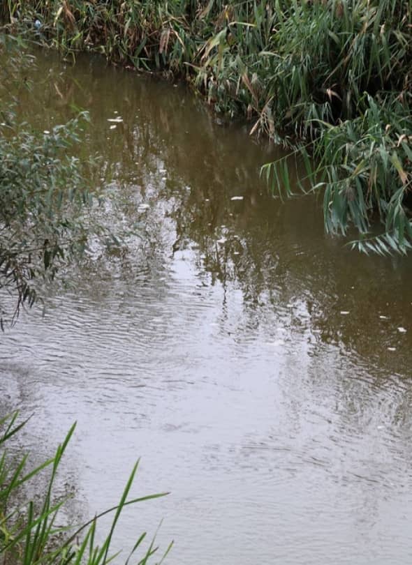 CzarnaWoda (Wojciech Obremski lca.pl)