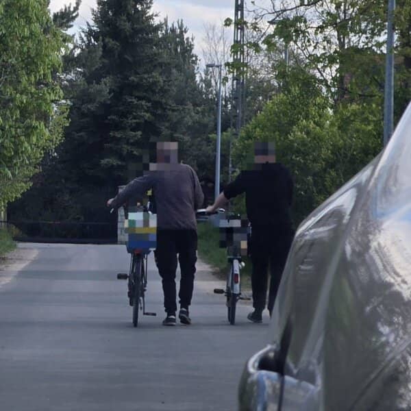Zdjęcie