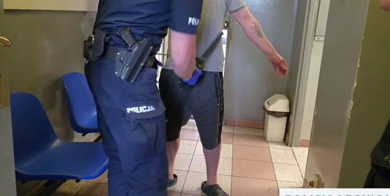 Zdjęcie