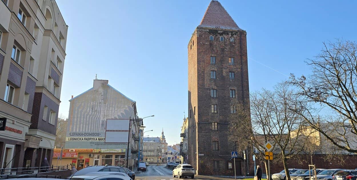 Zdjęcie