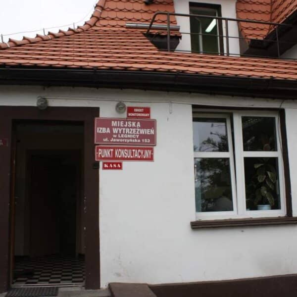 Zdjęcie