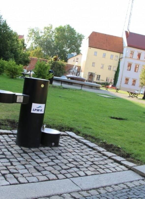 Zdjęcie