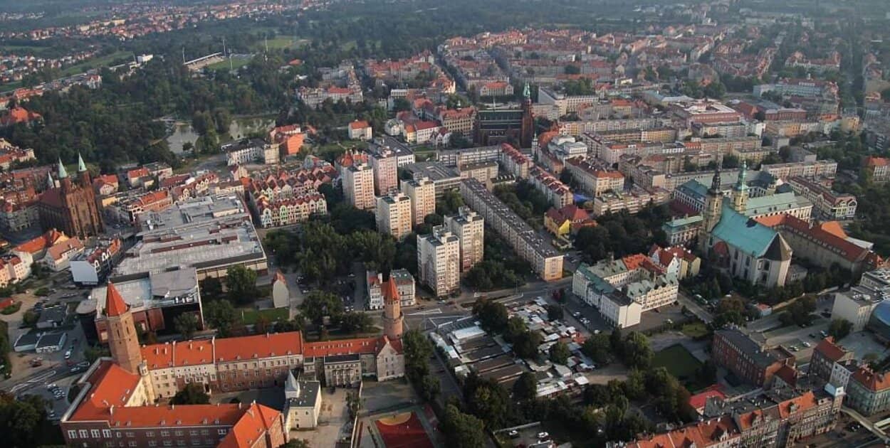 Zdjęcie