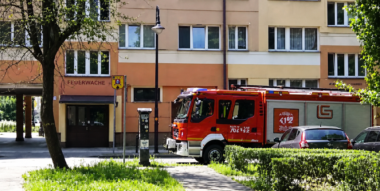 Zdjęcie
