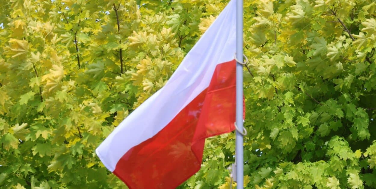 Zdjęcie