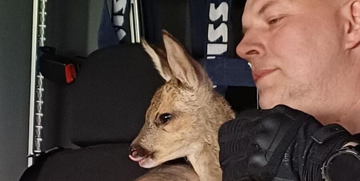 Zdjęcie