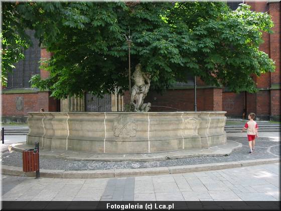 Legnica w obiektywie