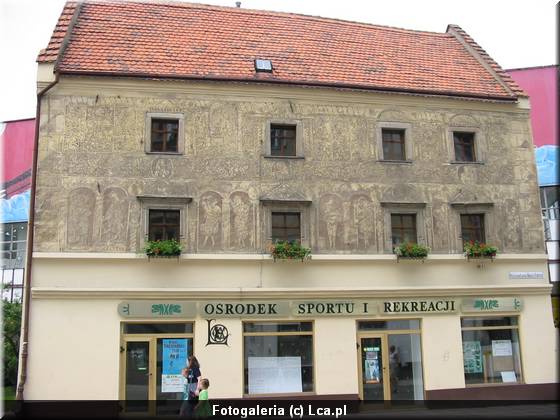 Legnica w obiektywie