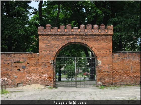 Legnica w obiektywie