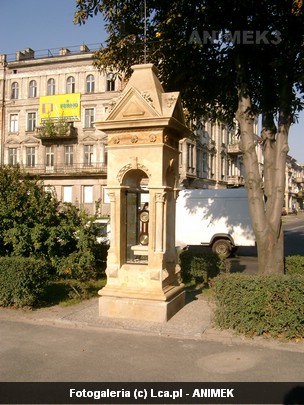 Legnica okiem Animka