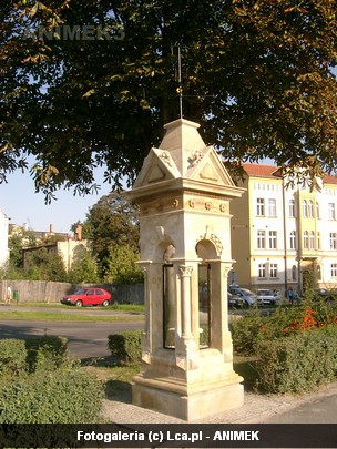 Legnica okiem Animka