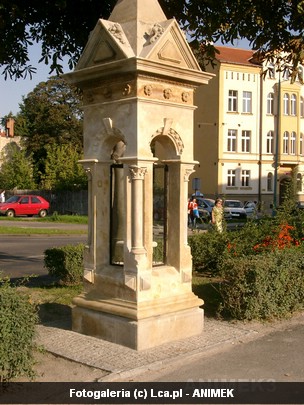 Legnica okiem Animka