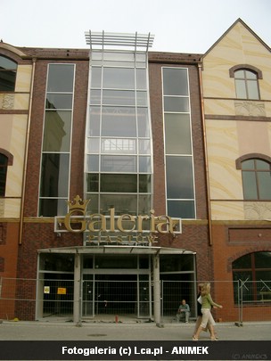 Legnica okiem Animka