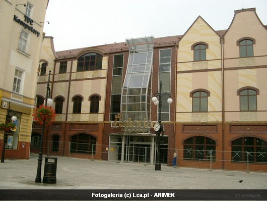 Legnica okiem Animka