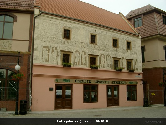 Legnica okiem Animka