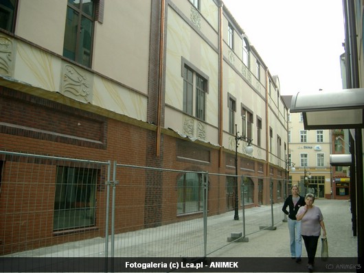 Legnica okiem Animka