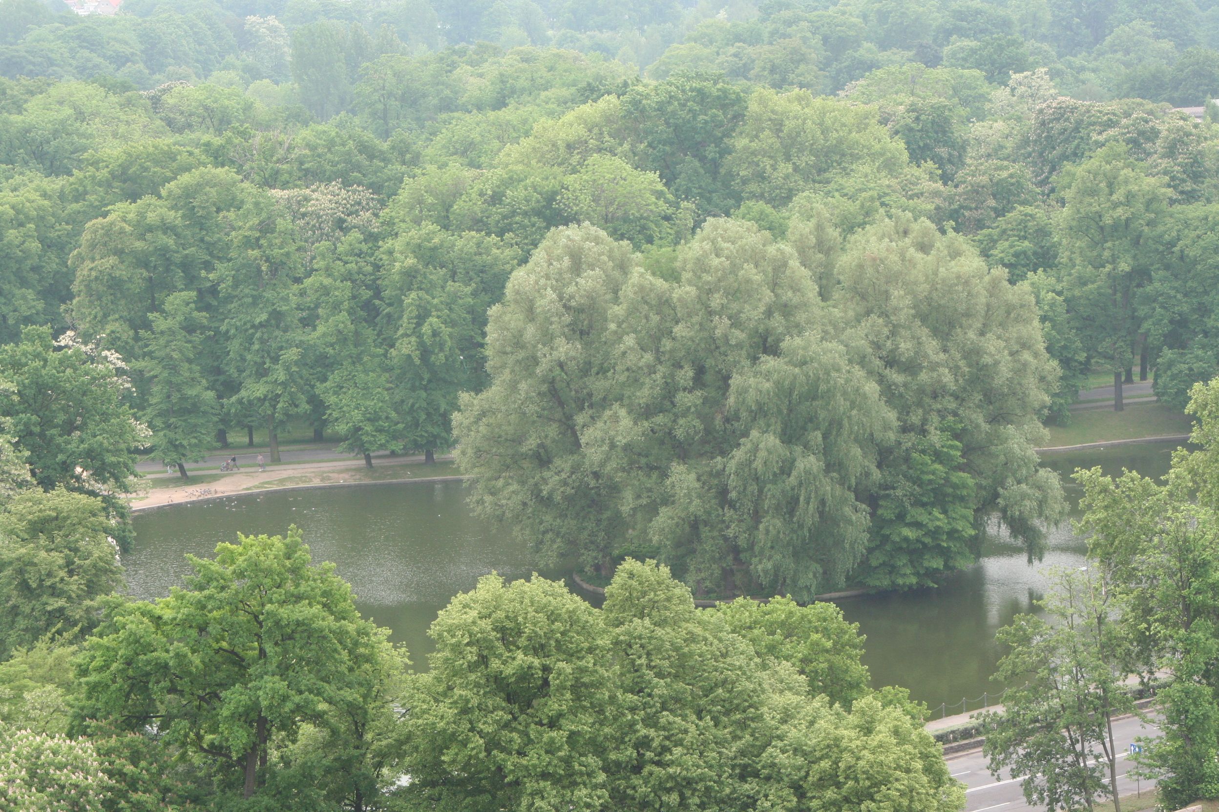 Legnica z wysokości