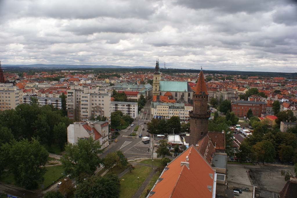 Legnica z wieży św. Piotra