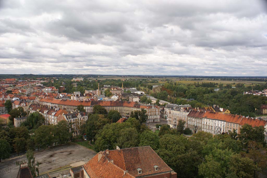 Legnica z wieży św. Piotra