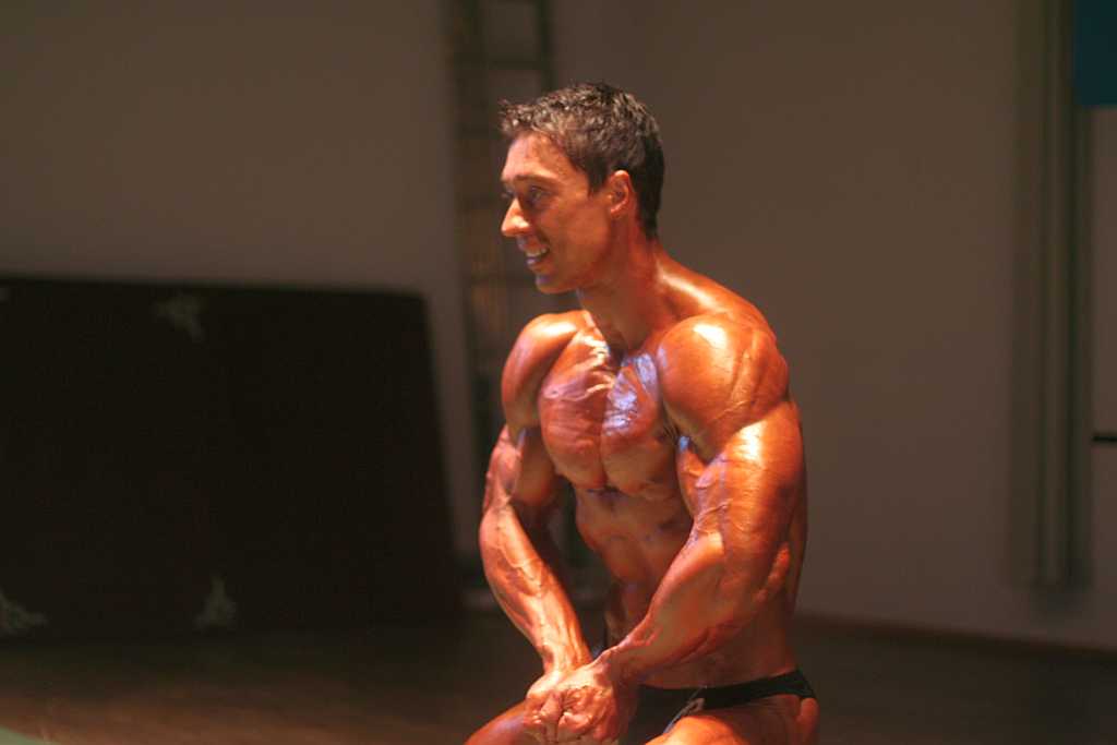 Herkules 2008