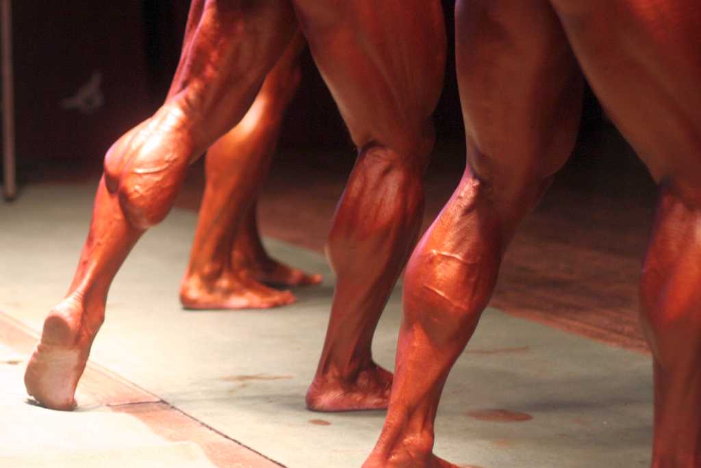 Herkules 2008