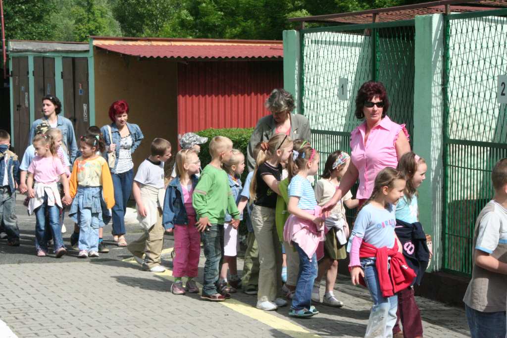 Festyn z czworonogami