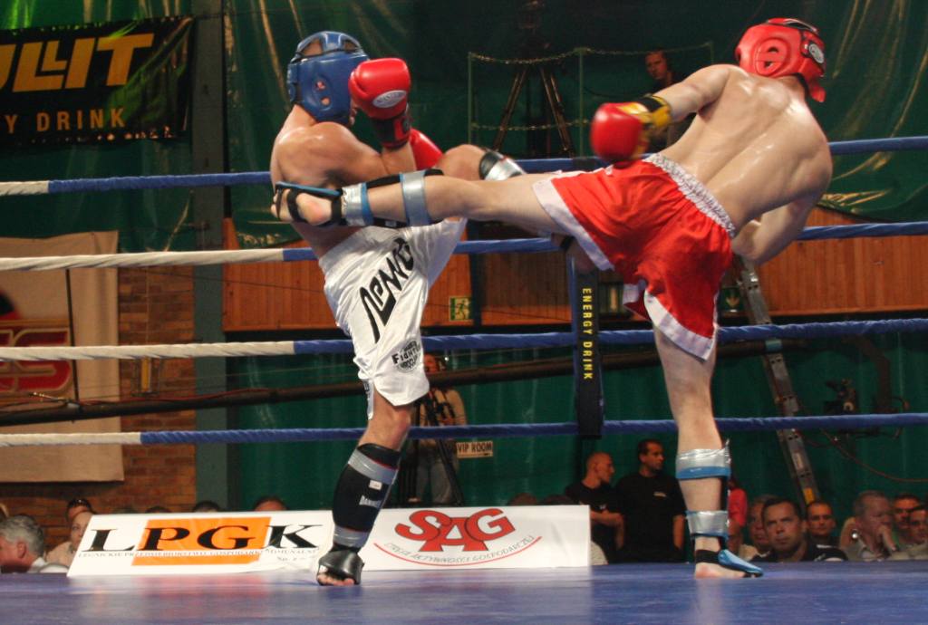 Gala Boksu Zawodowego (1)