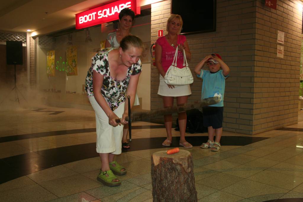 Komputerowi przewodnicy w Galerii P
