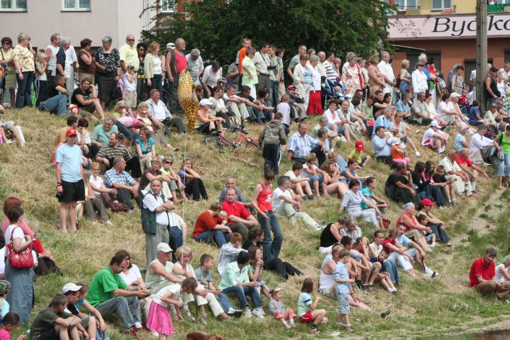 Rodzina Shreków najlepsza