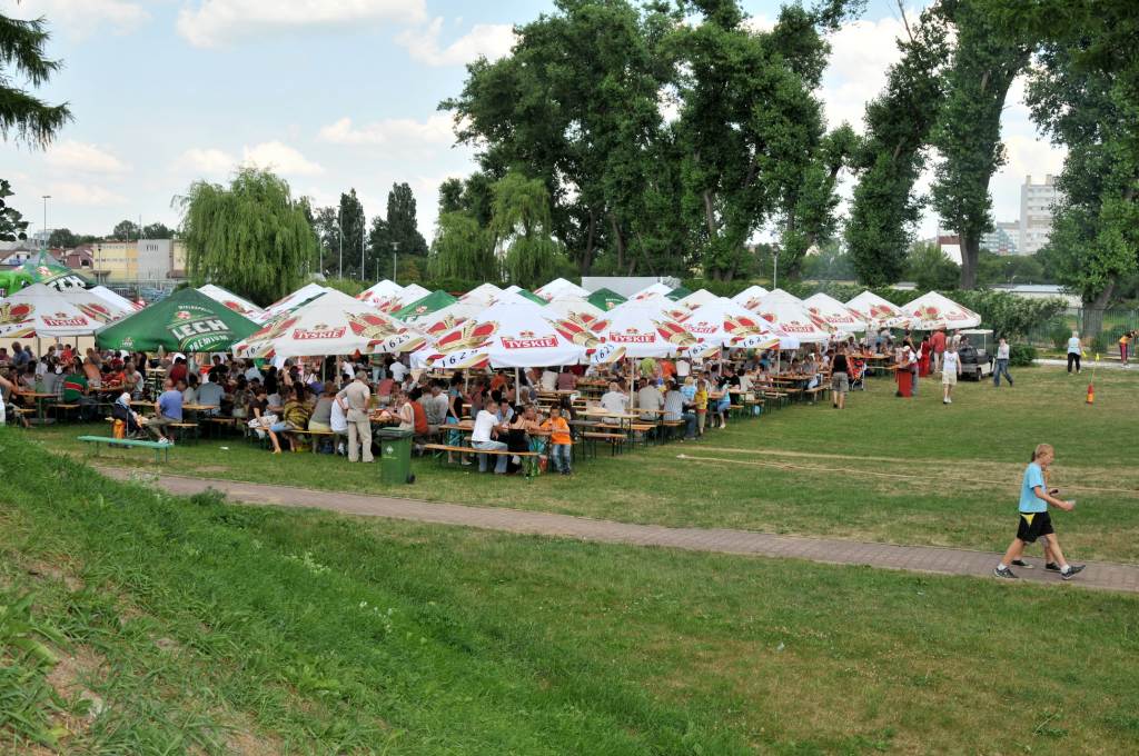 Zanam świętuje
