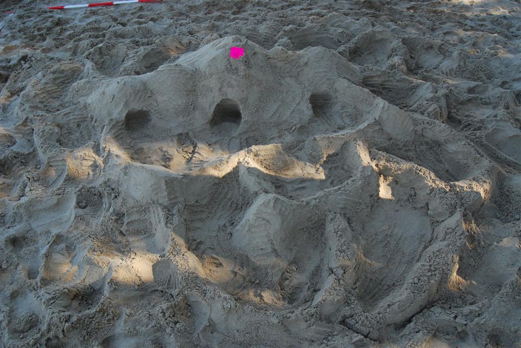 Piaskownica 2008