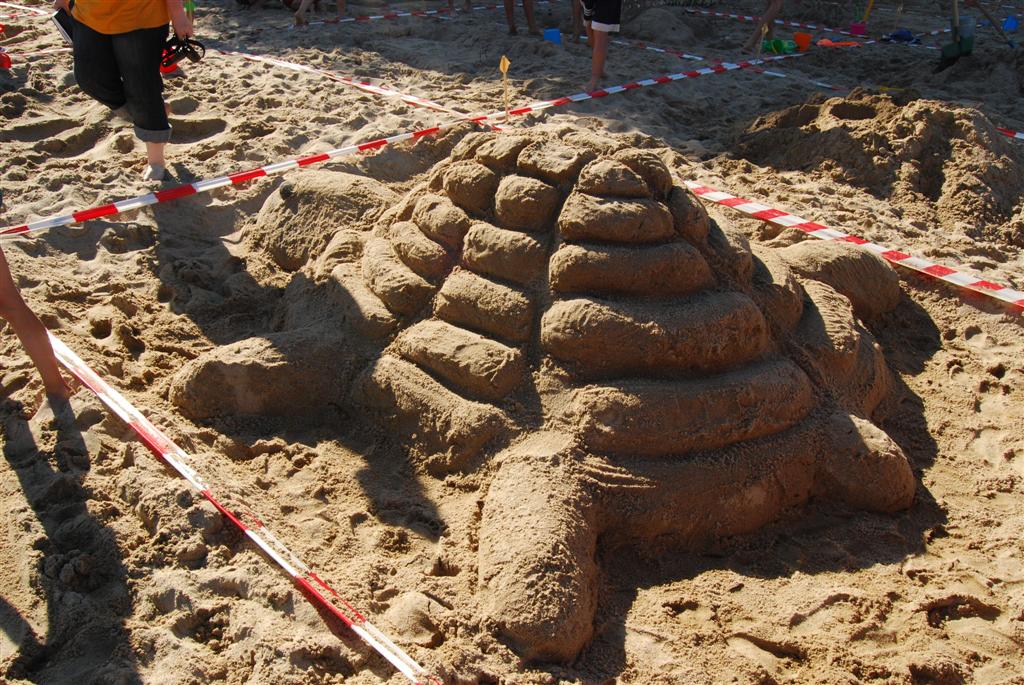 Piaskownica 2008